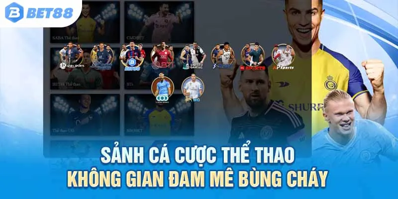 Sảnh cược hiện đại – Dành cho những người yêu thể thao thực thụ!