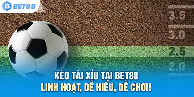 Kèo Tài Xỉu tại Bet88 – Linh hoạt, dễ hiểu, dễ chơi!